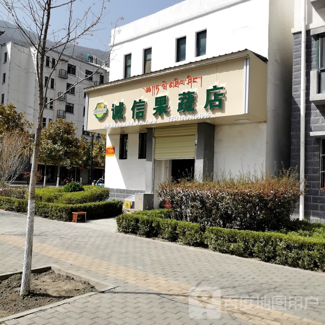 诚信文体书社(s313店)