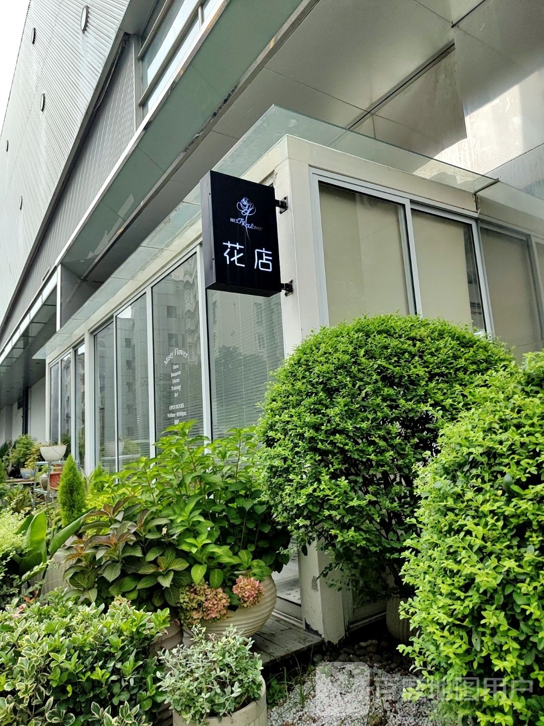 大宁花店(大宁国际商业广场店)