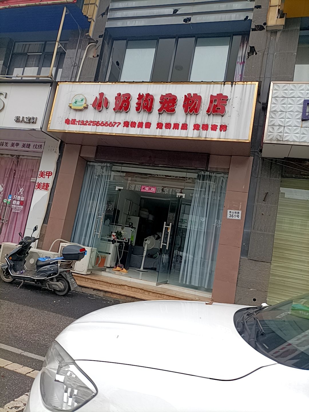 小奶狗宠物店