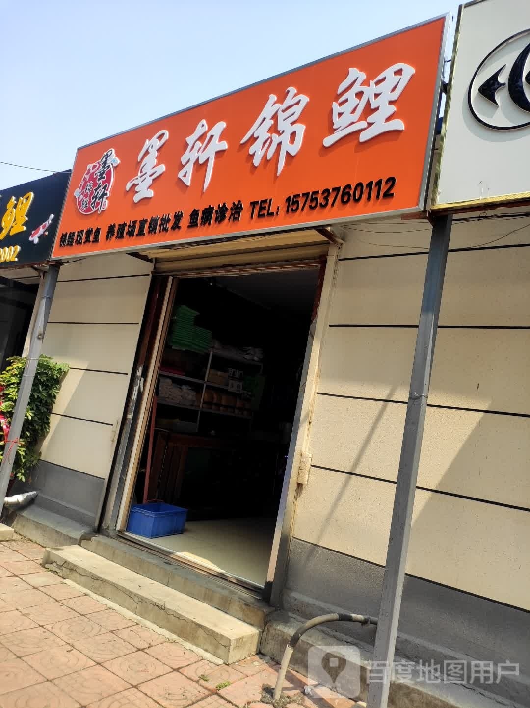 墨轩锦鲤