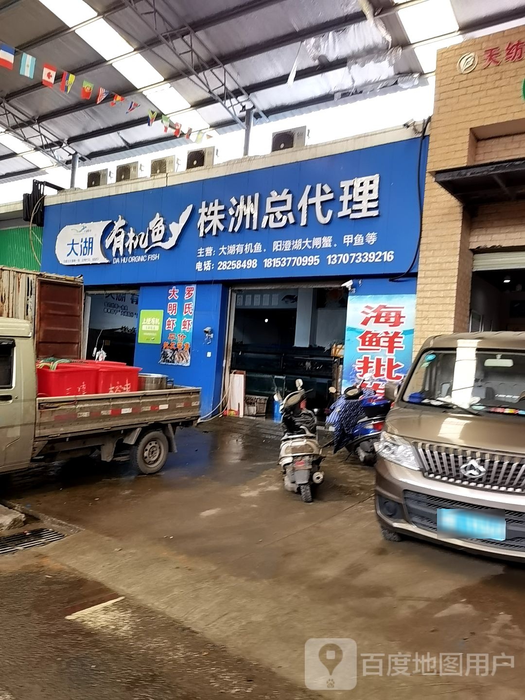 大湖有机鱼(株洲总代理)