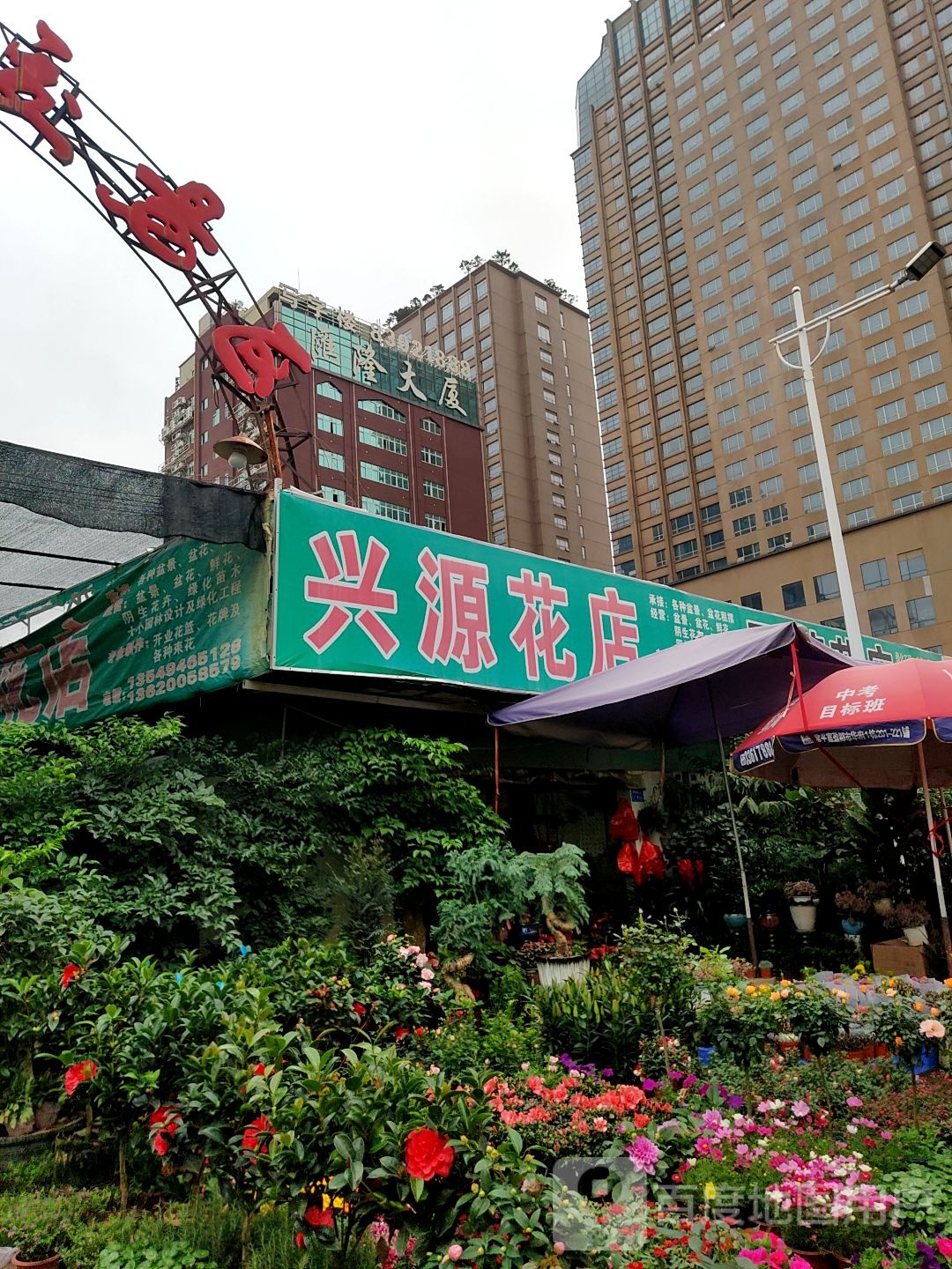 兴源花店(常平店)