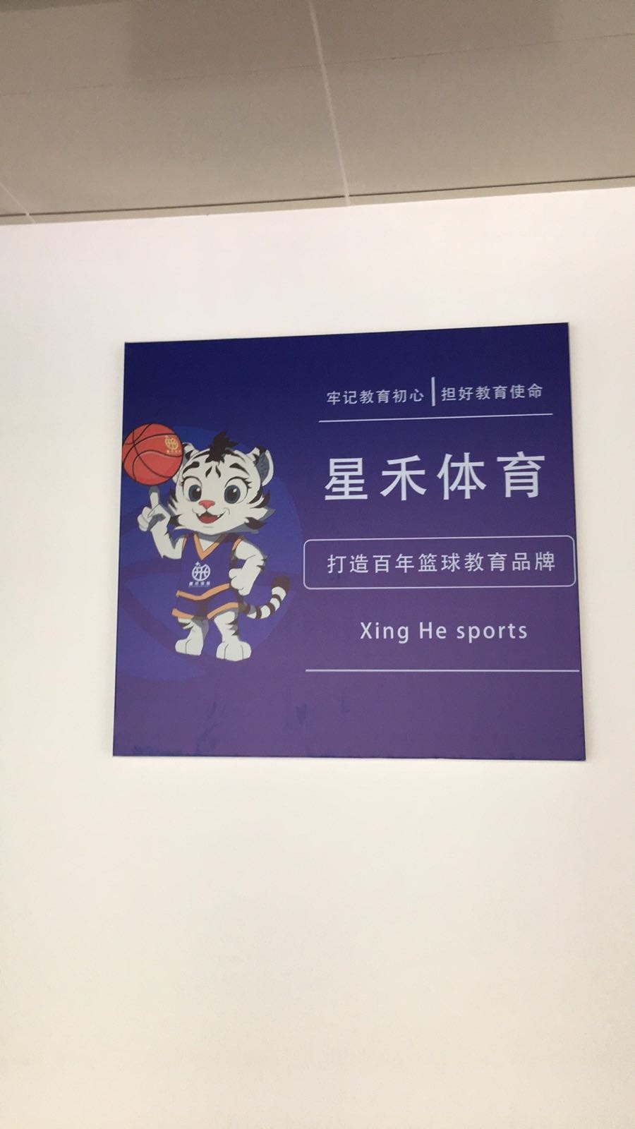 星禾体育篮球俱乐部(神华·万利广场店)