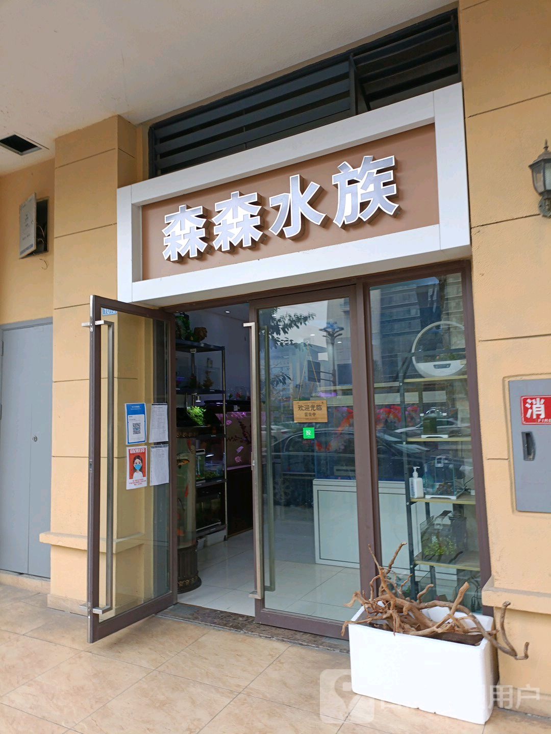 森森水族(望丛中路店)