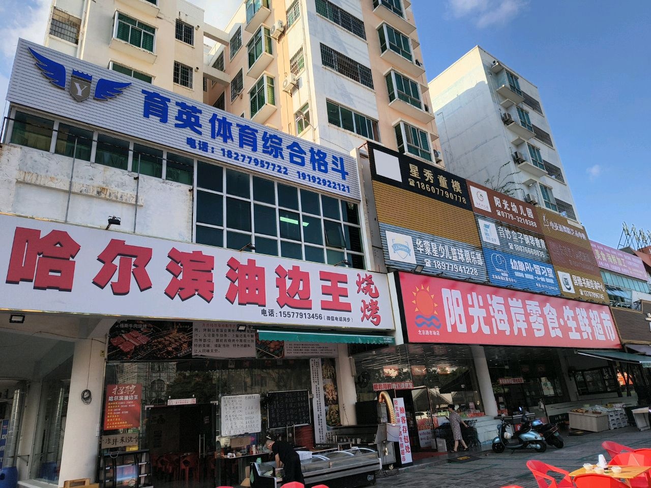 育英体育综合格斗