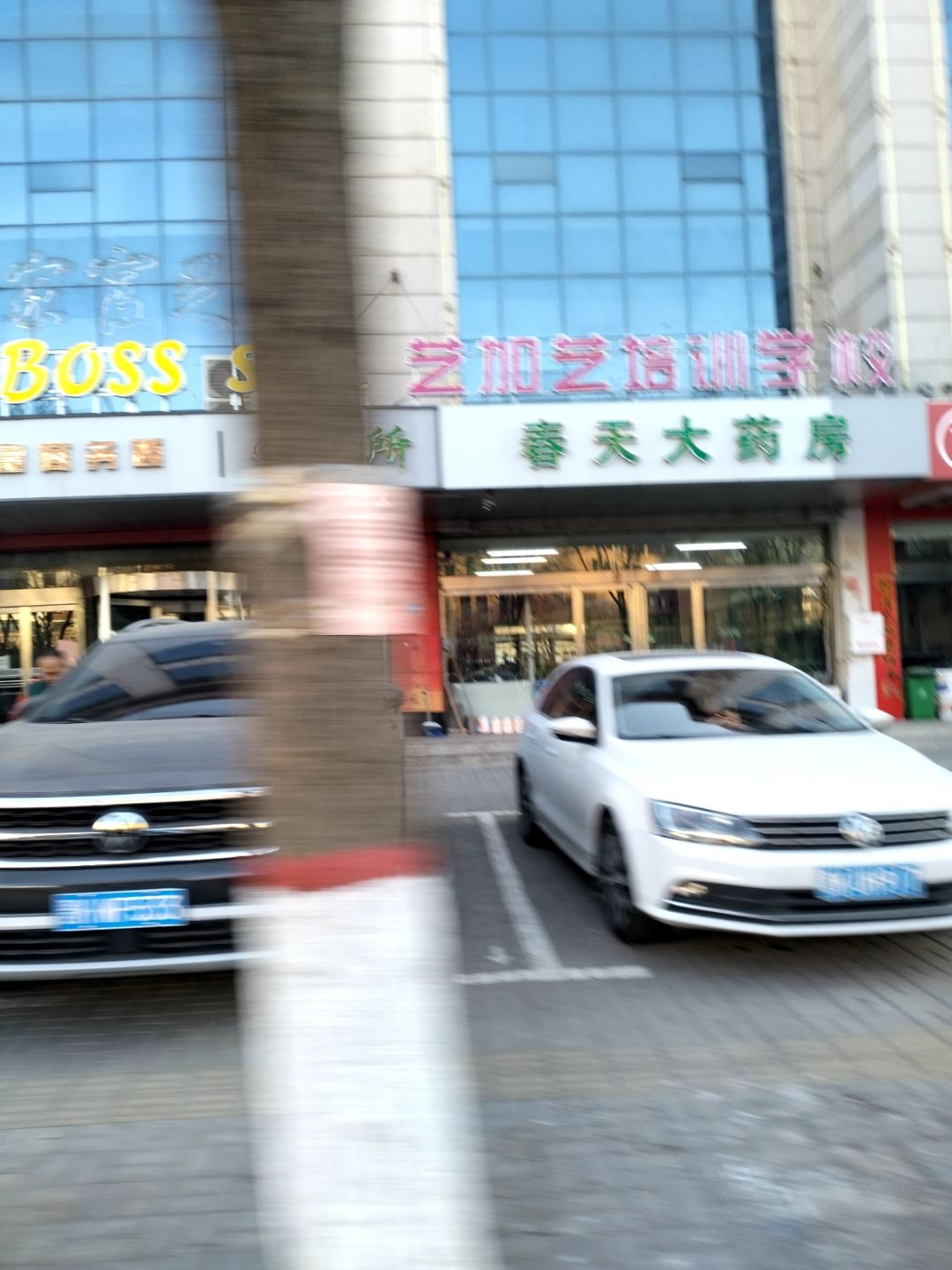 春天大药房(泰鑫商务楼店)