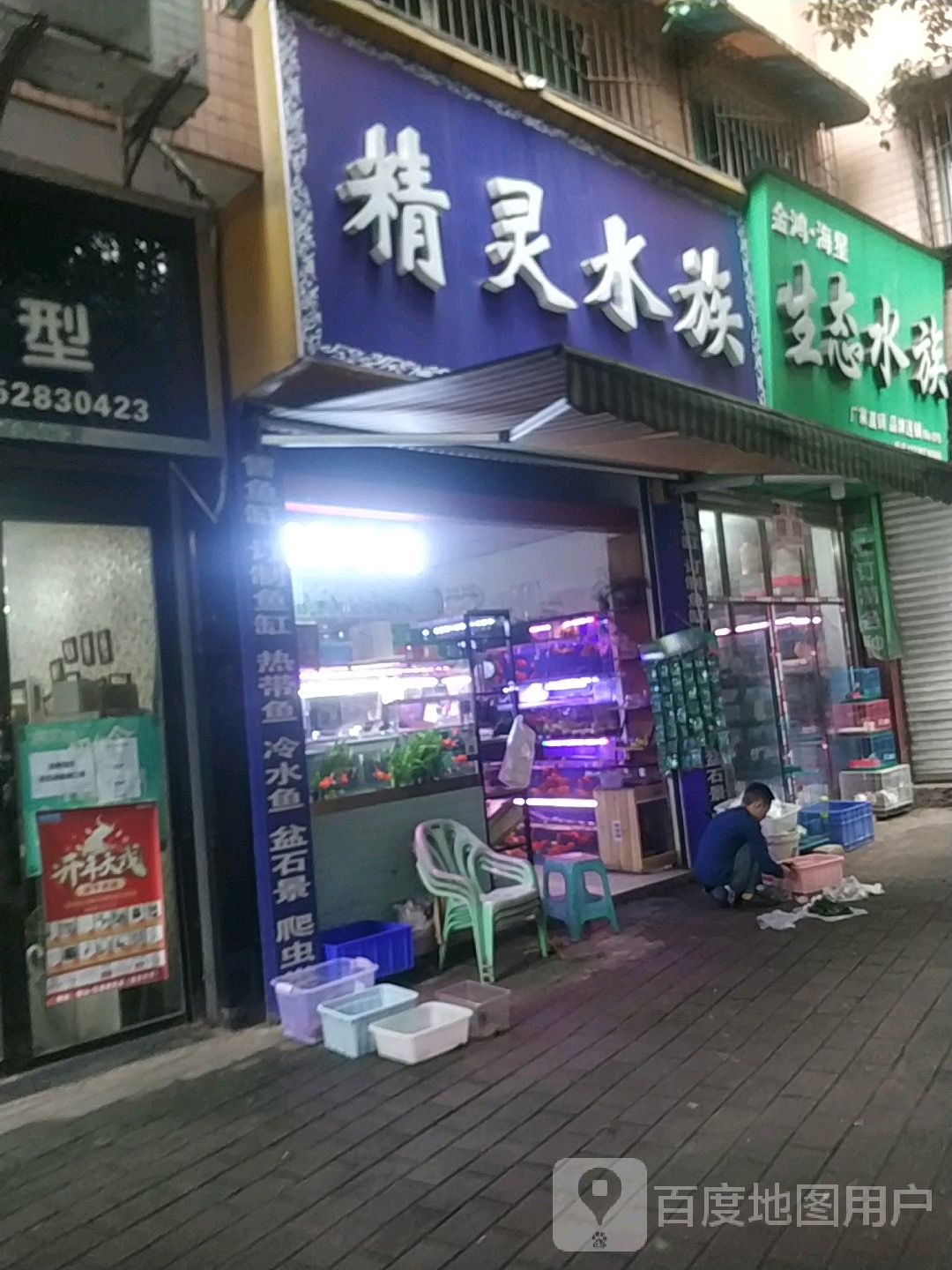 金鸿海星生态水族