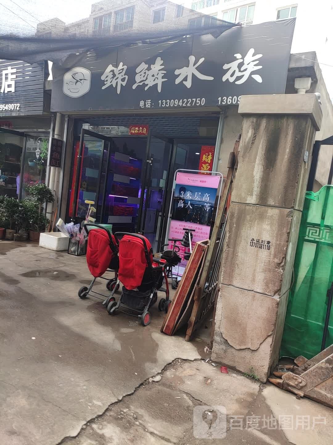 森森四族(栖云北路店)