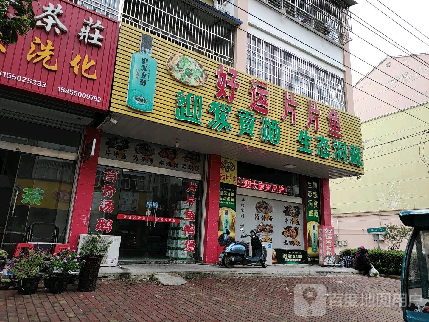 自重庆片片鱼