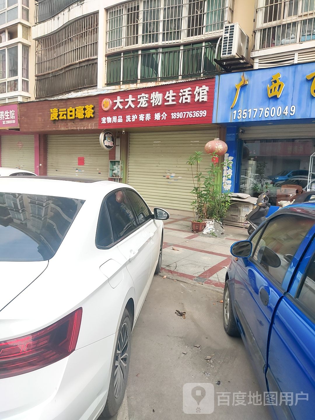 大大宠物生活馆