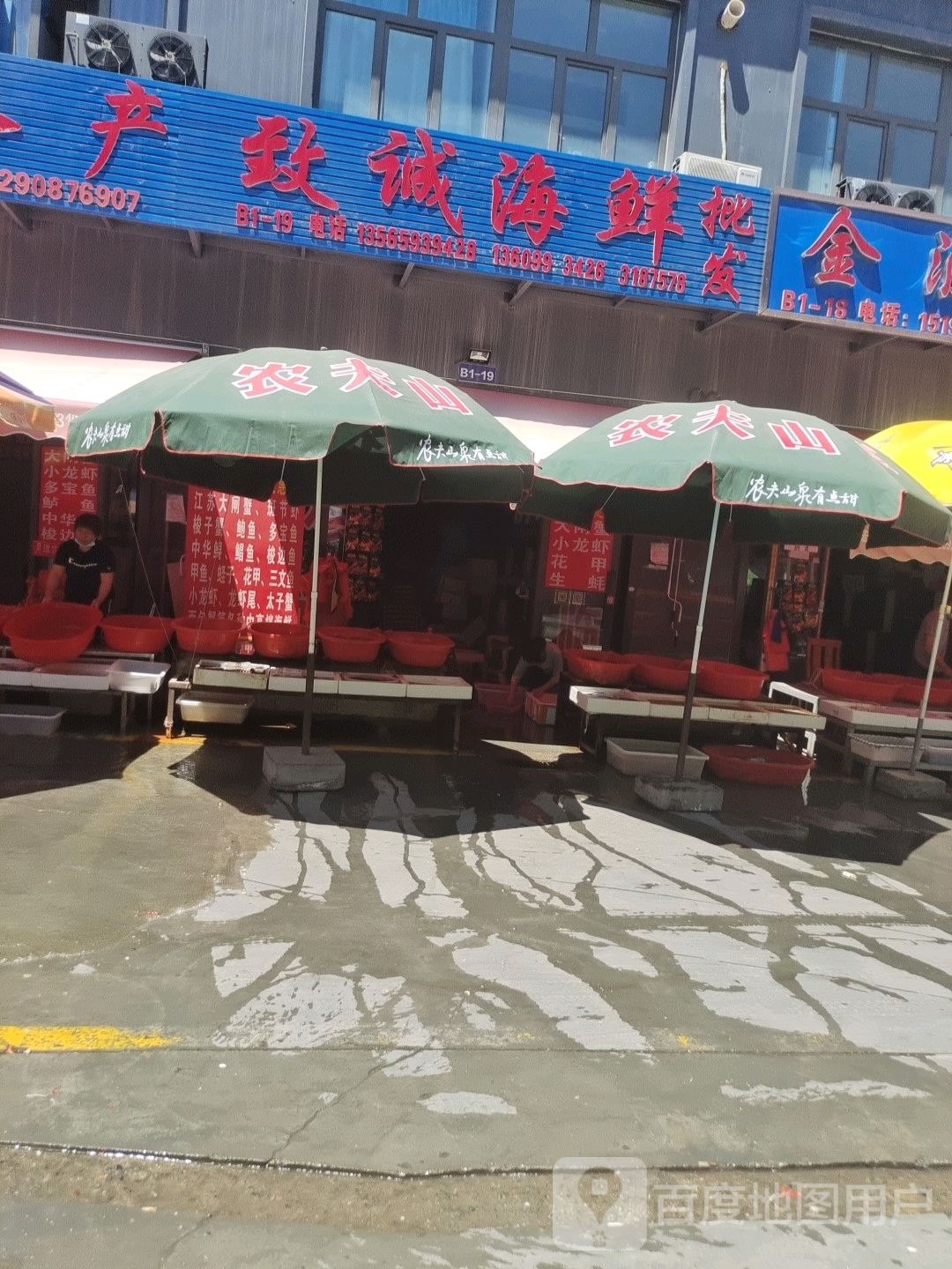 致诚海鲜批发