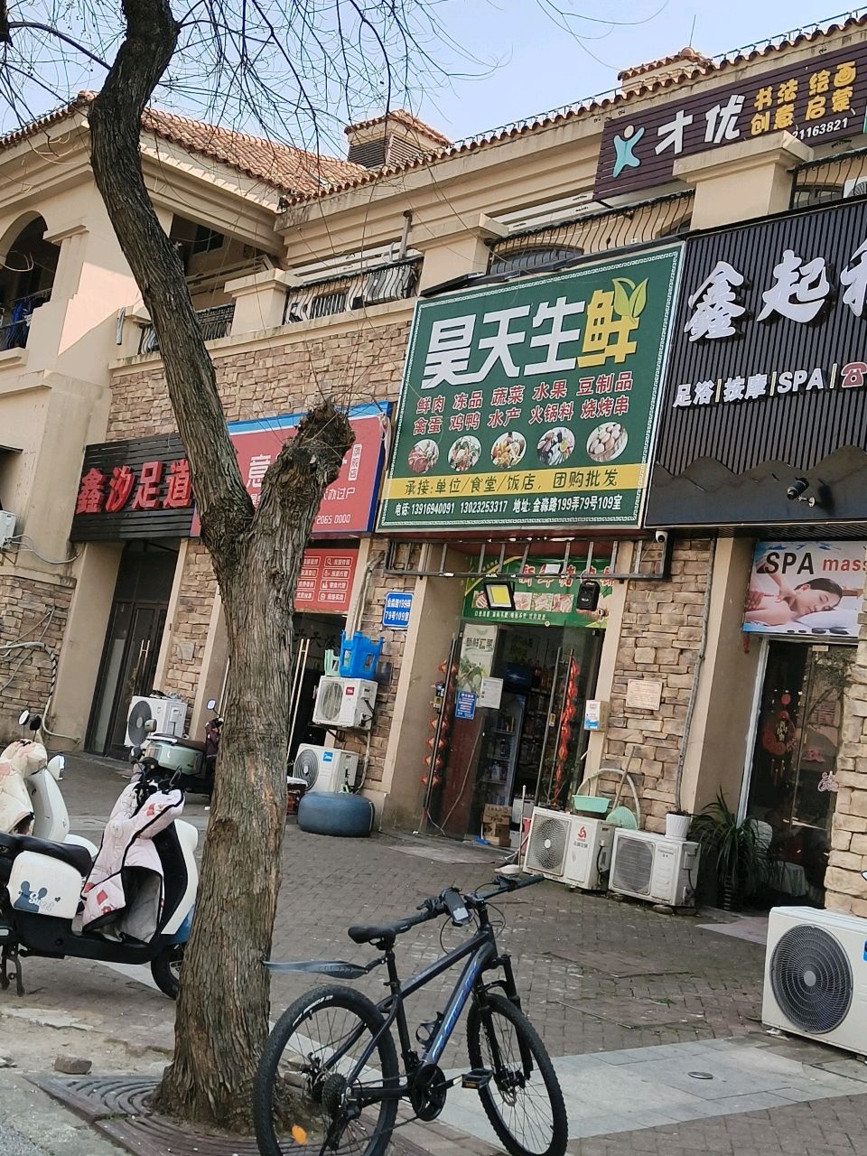 才优文化艺术辅导中心