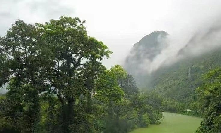 凌云县乱岩珂风景区