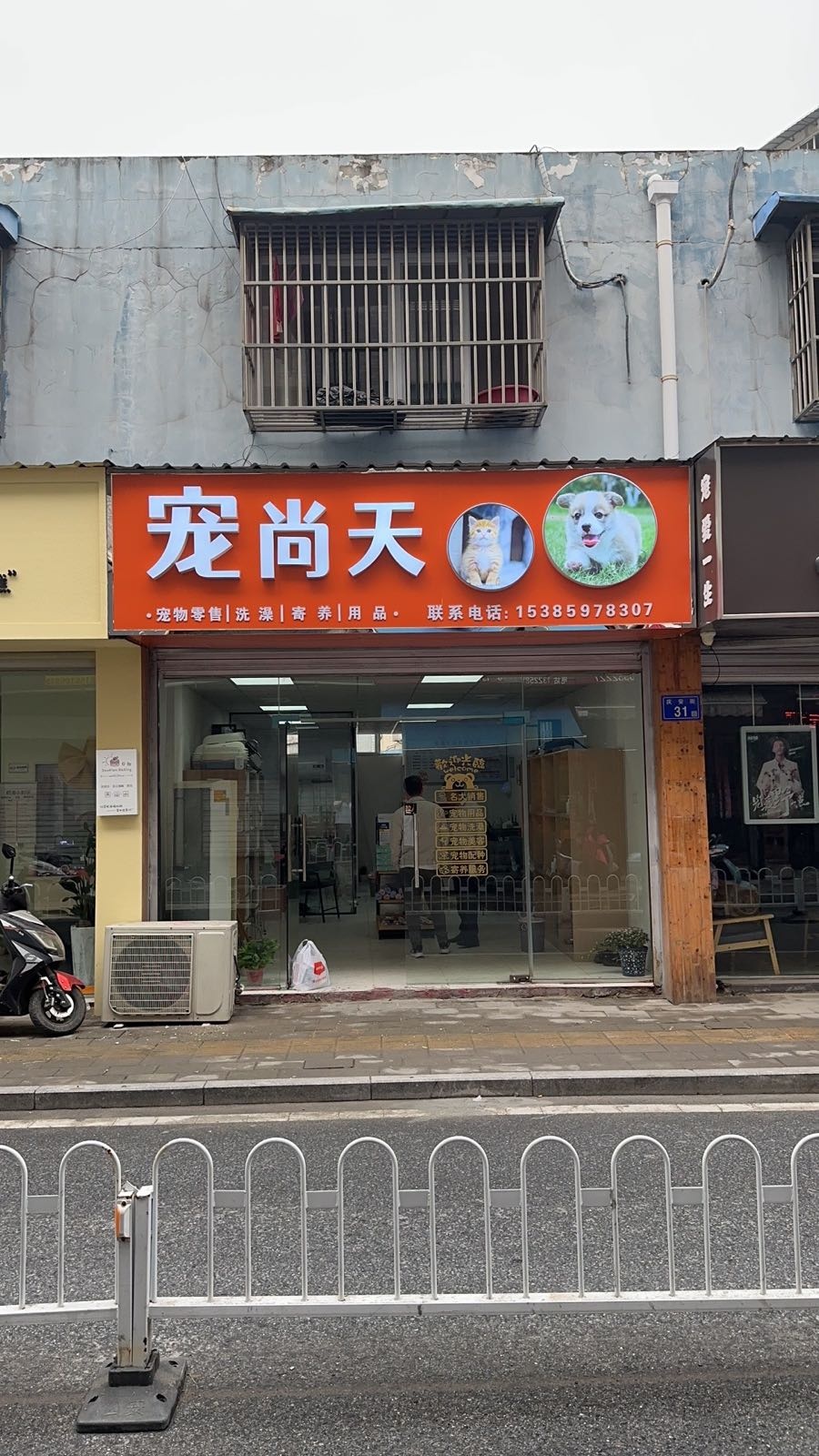 宠尚天