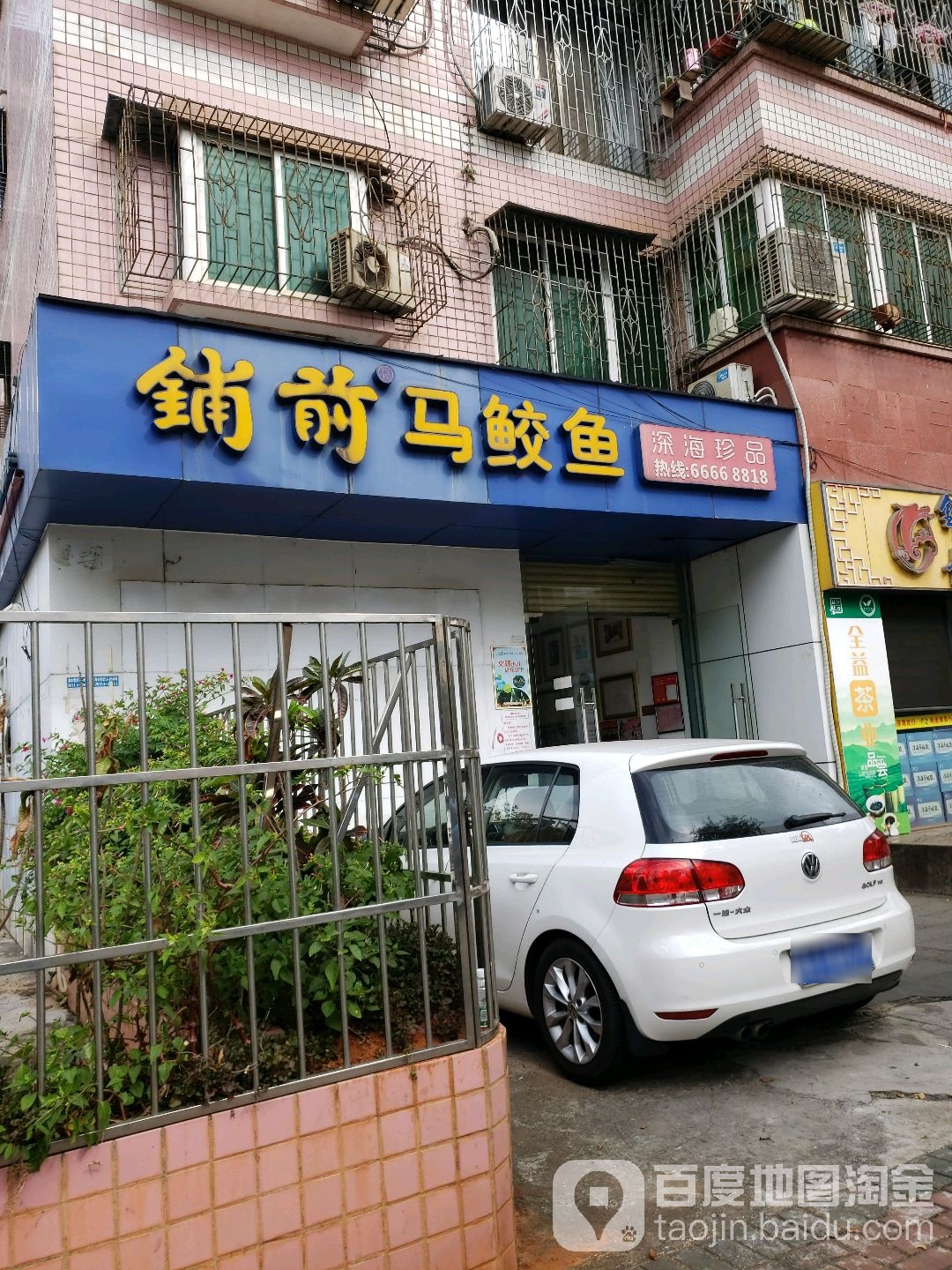 铺前马鲛鱼(金宇店)