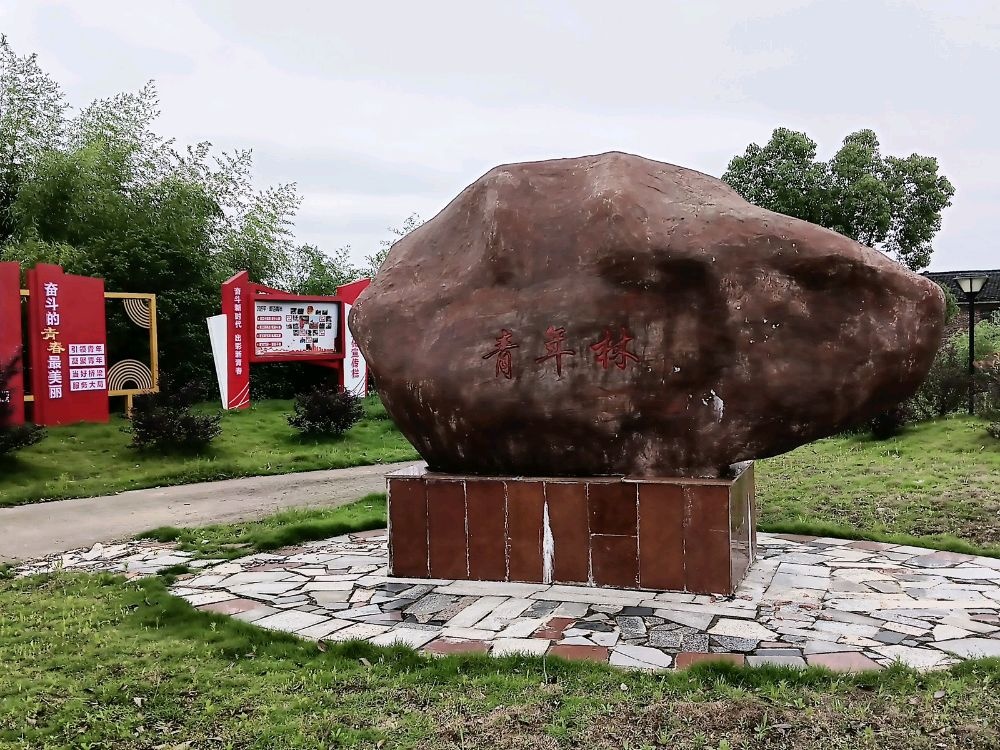 青年林