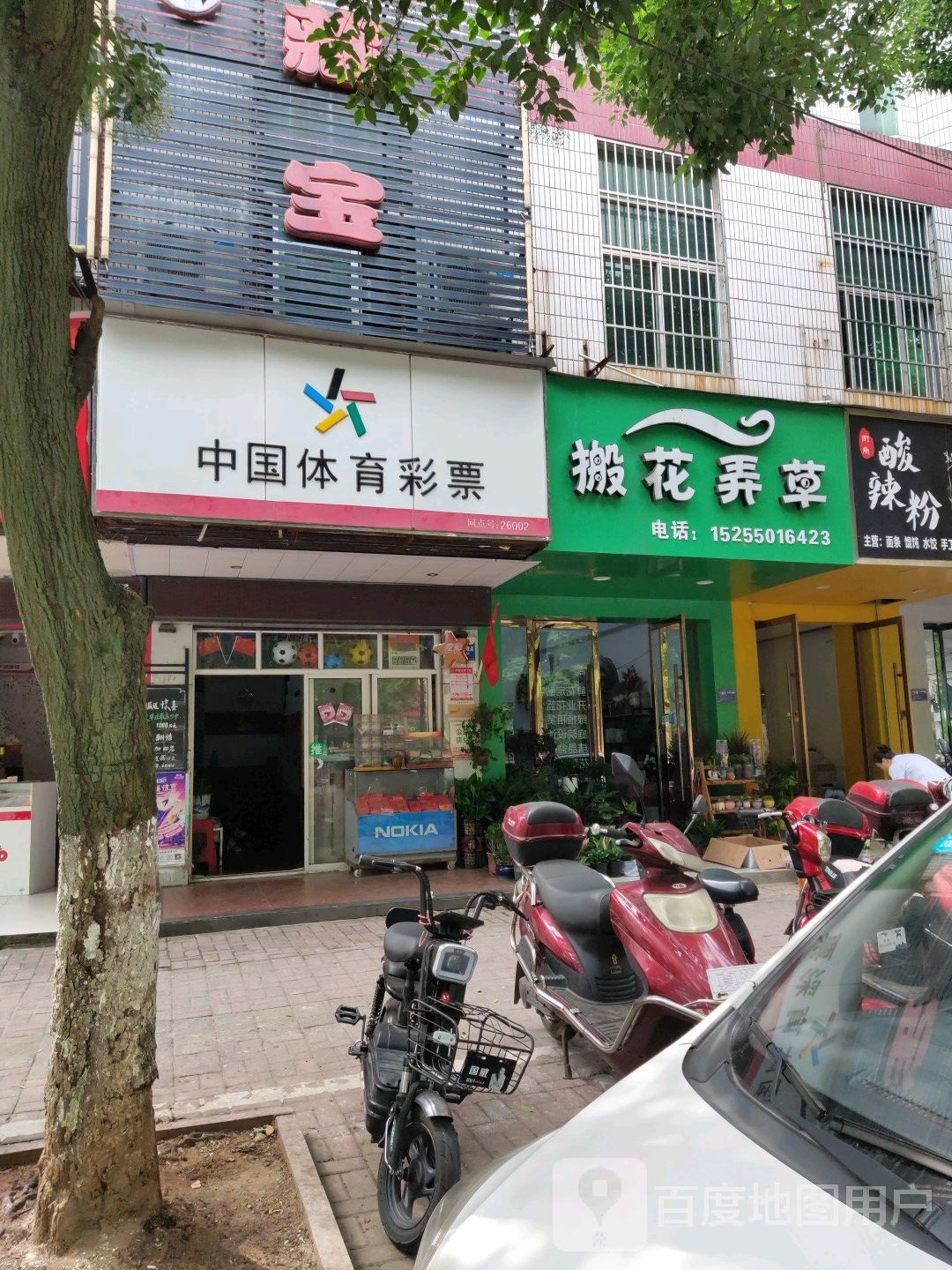 搬花弄草