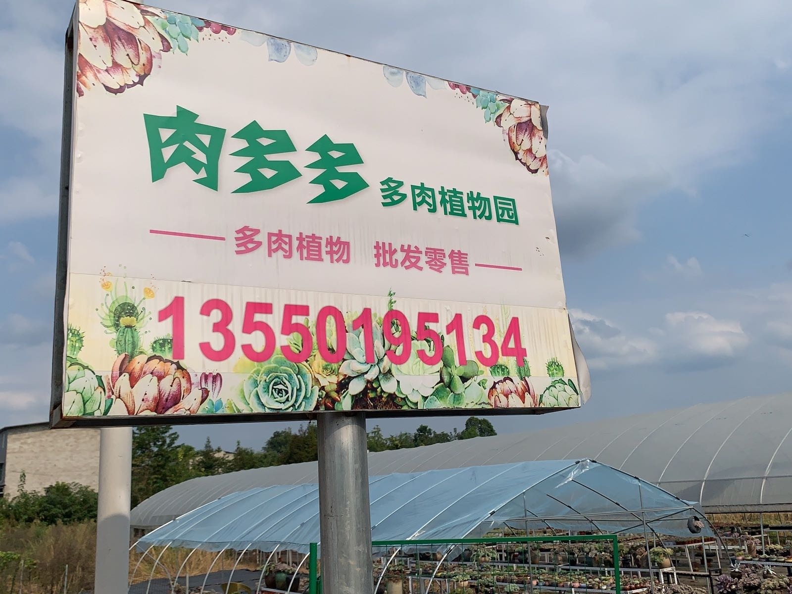 肉多多多肉植物园