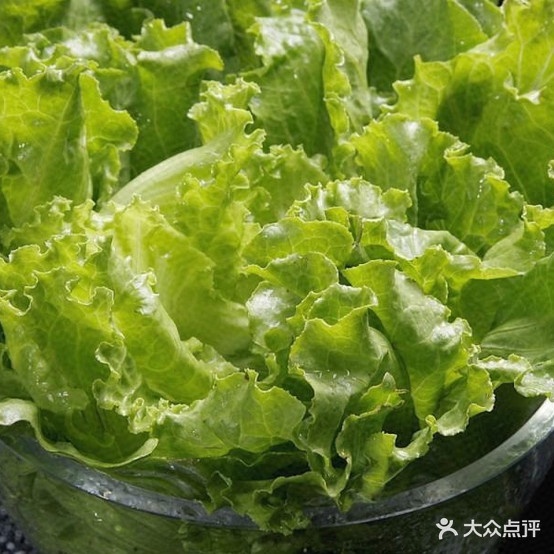 亳州鸭堡(鲁北工贸钢材大市场店)