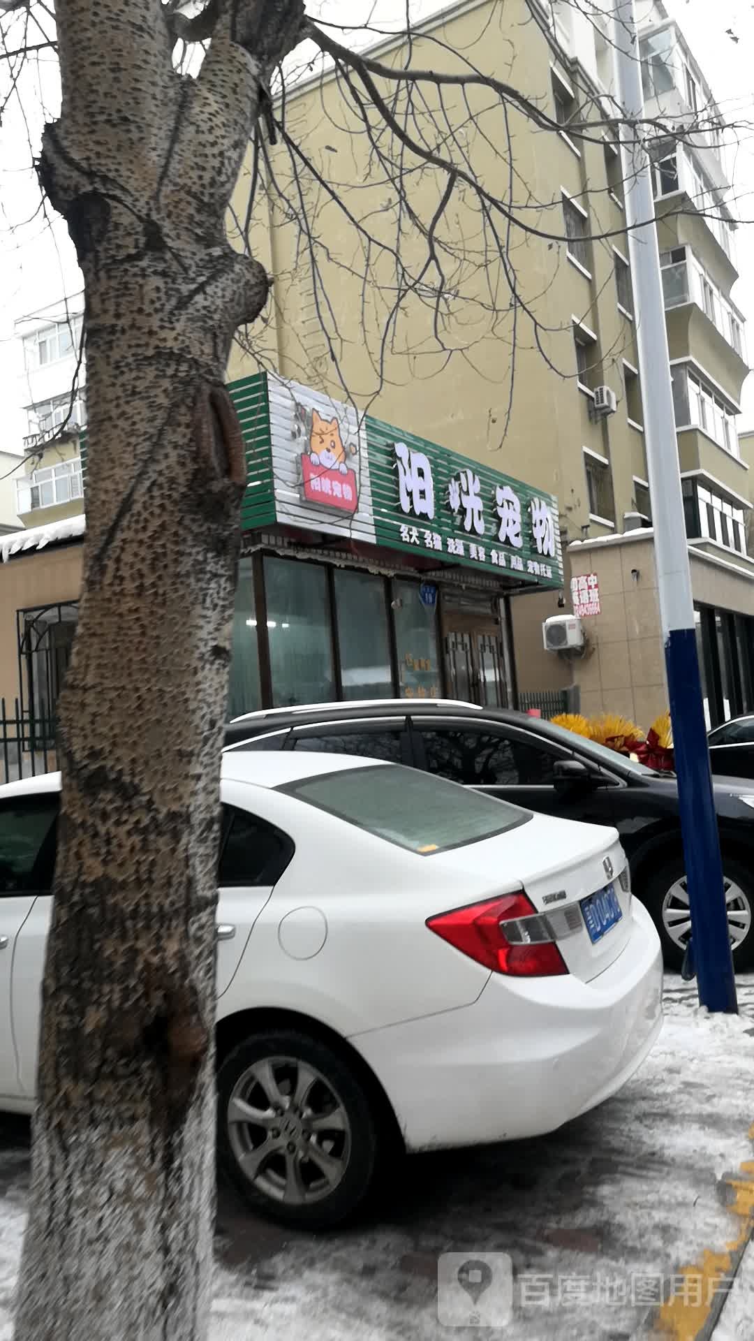 阳光宠物(友好巷店)