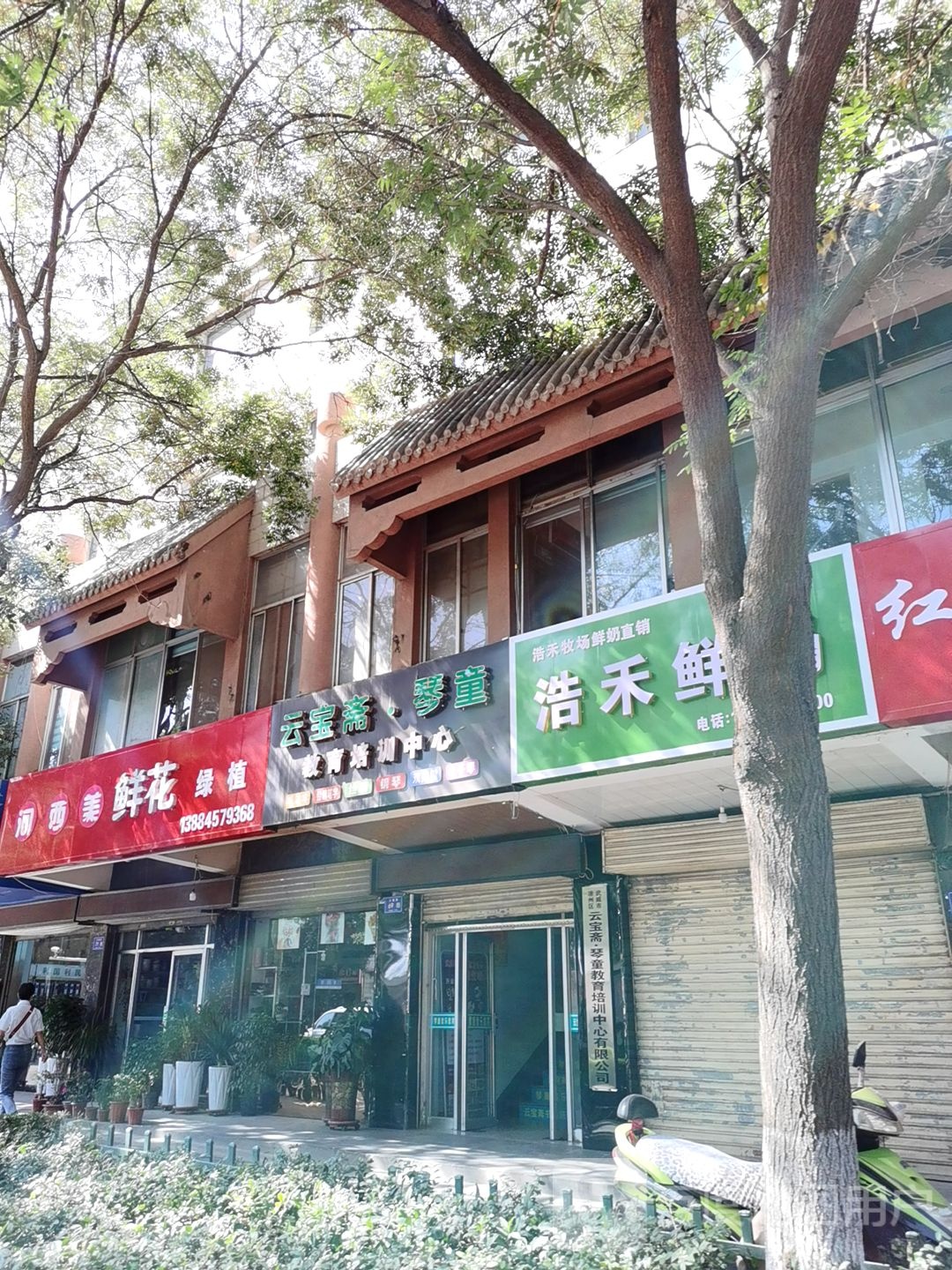 河西美鲜花