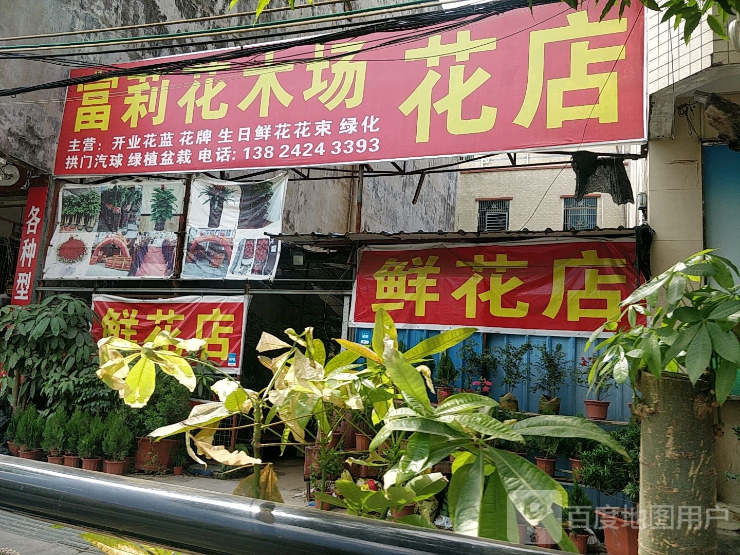 富莉花木场花店