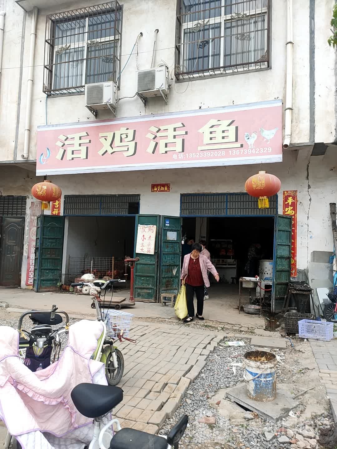 西华县活鸡活鱼(光明路店)