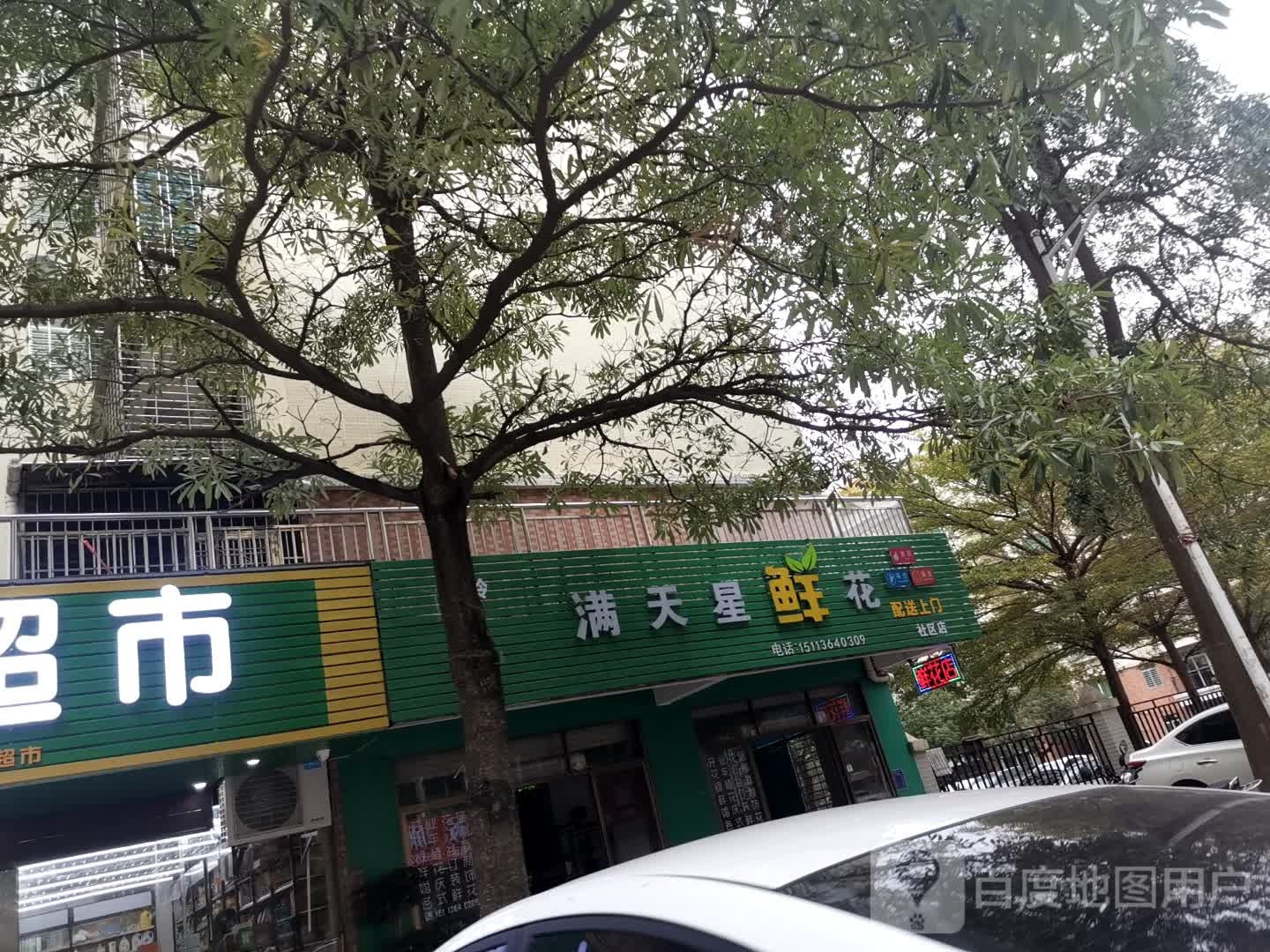 满天星鲜花(城岭路店)