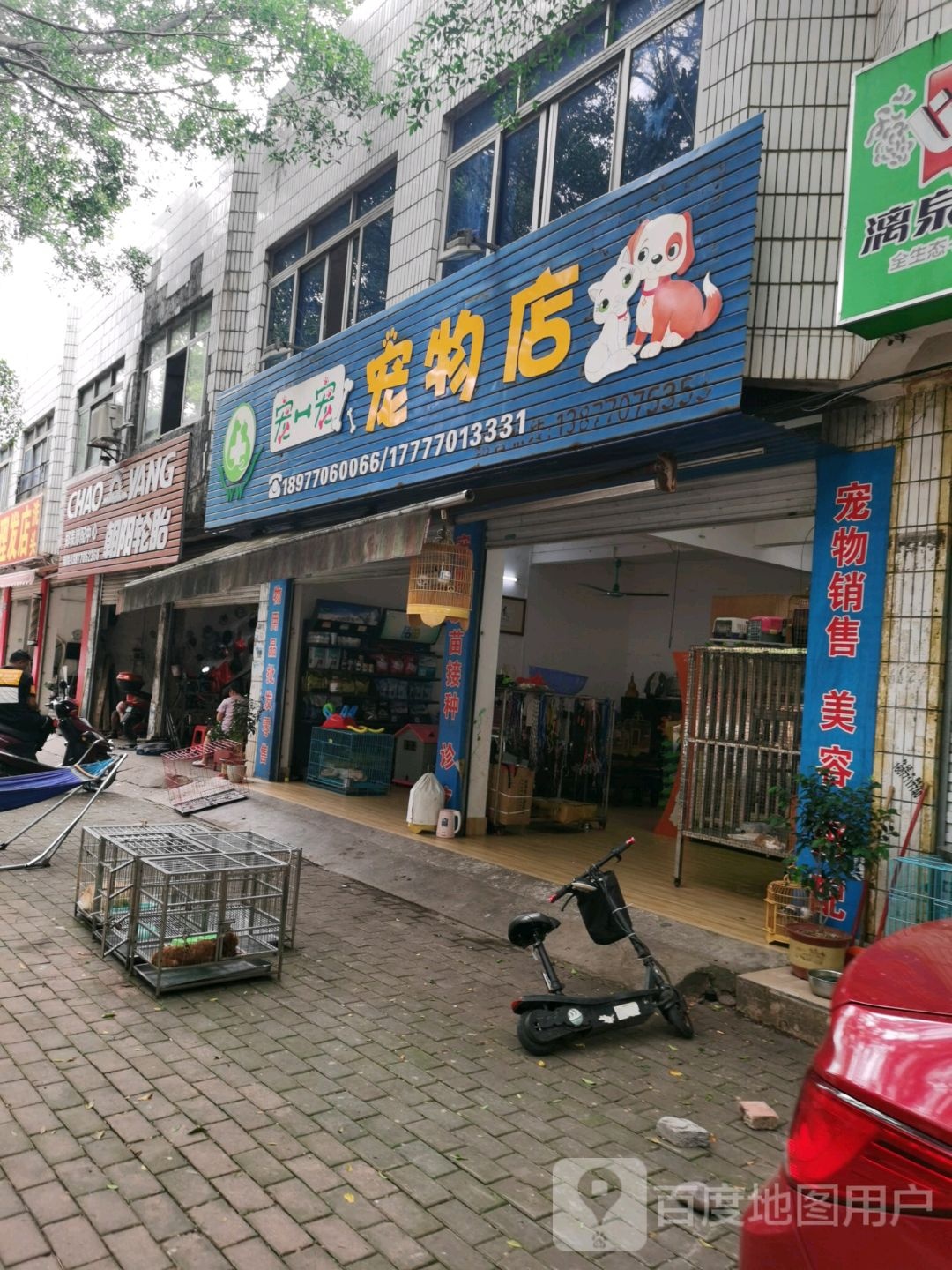 宠一宠宠物店