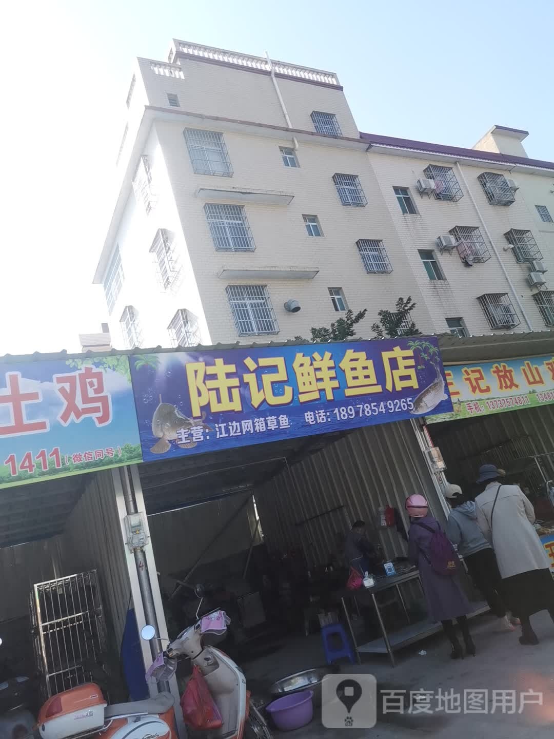 陆记鲜鱼店