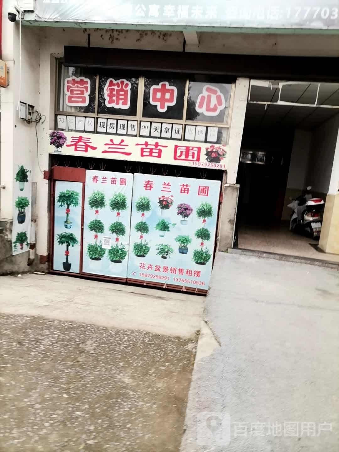 春兰花圃