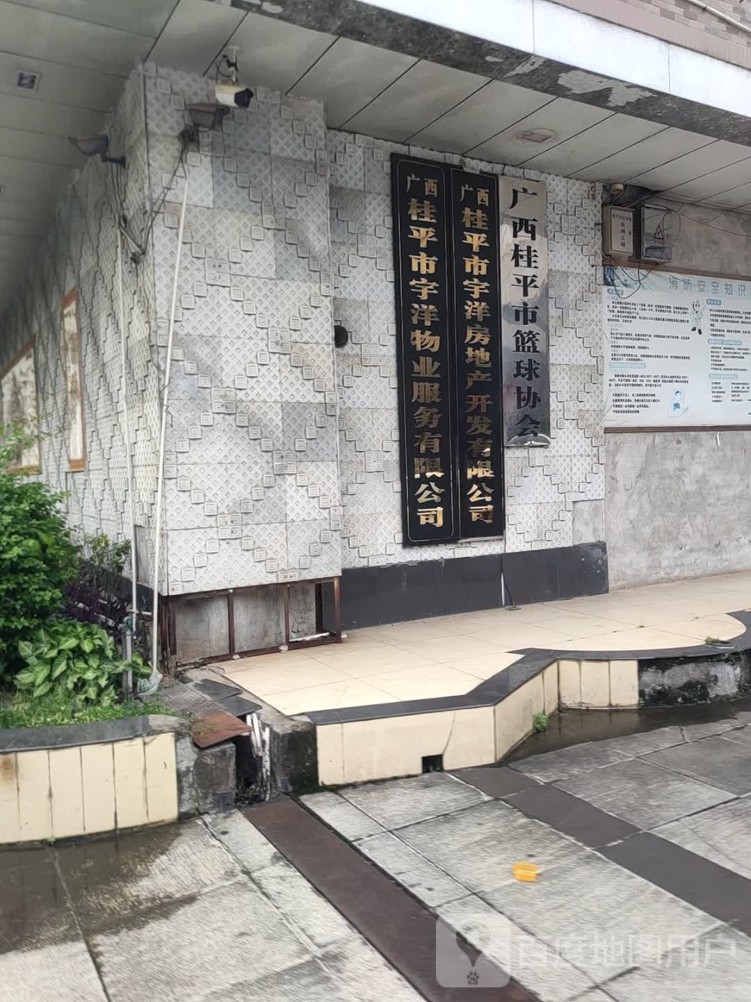 广西壮族自治区桂平市篮球协会