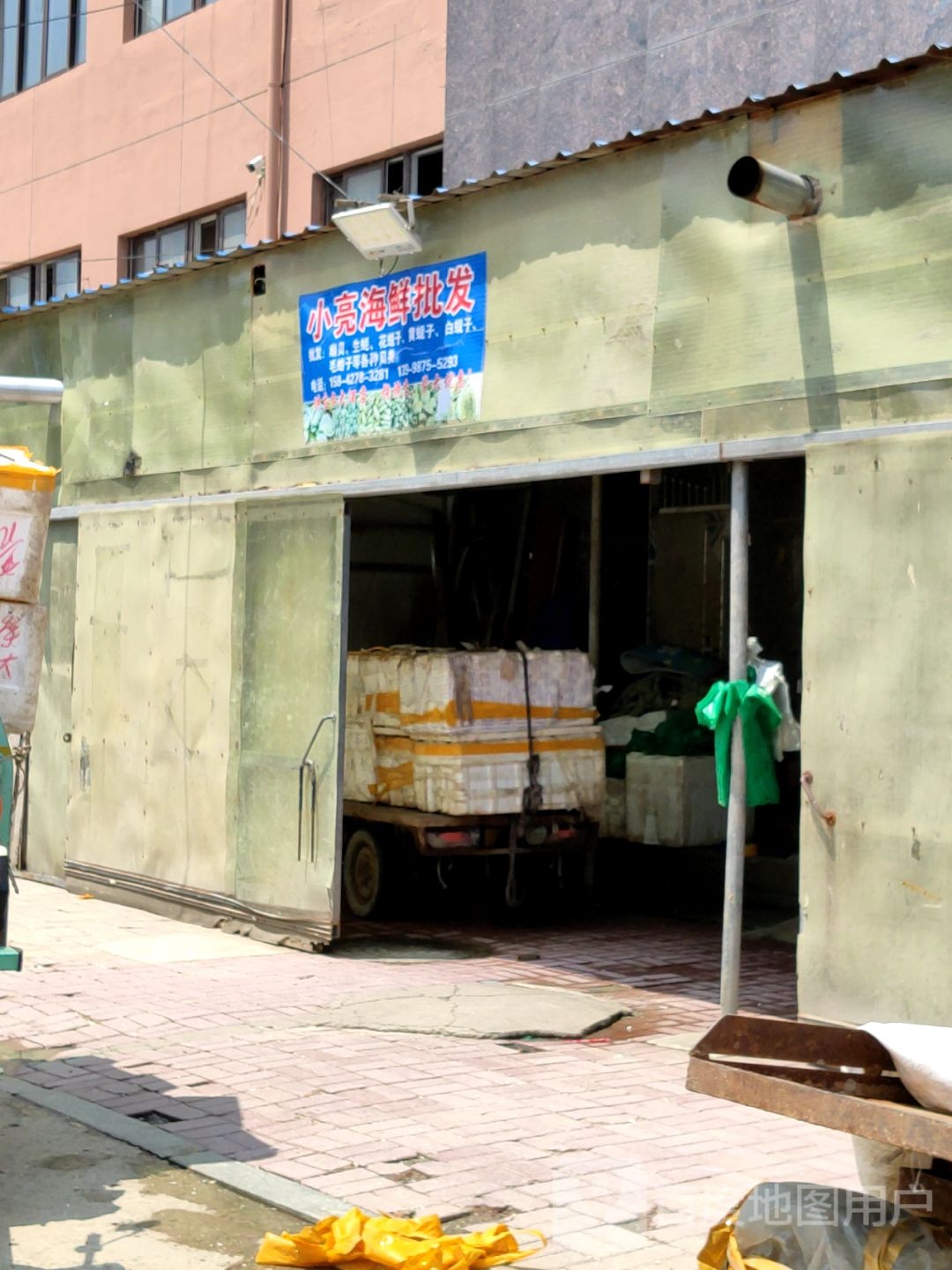 小亮海洋批发