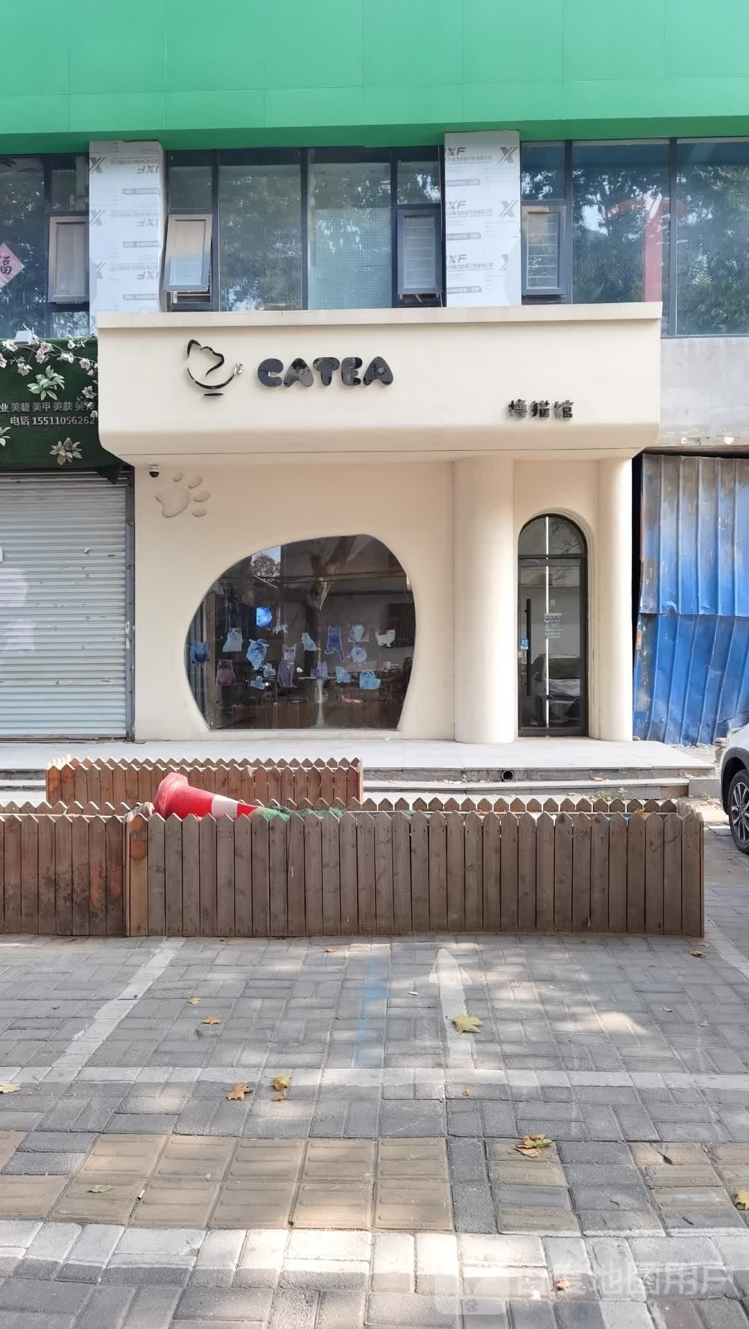 CATEA·撸猫馆(中央公园店)