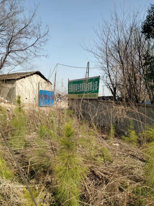 安徽顺馨再生资源回收有限公司