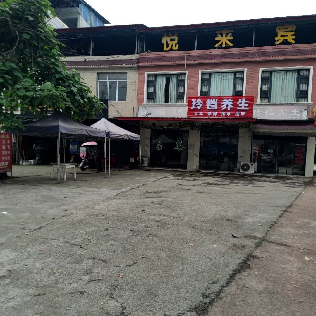 玲铛养生