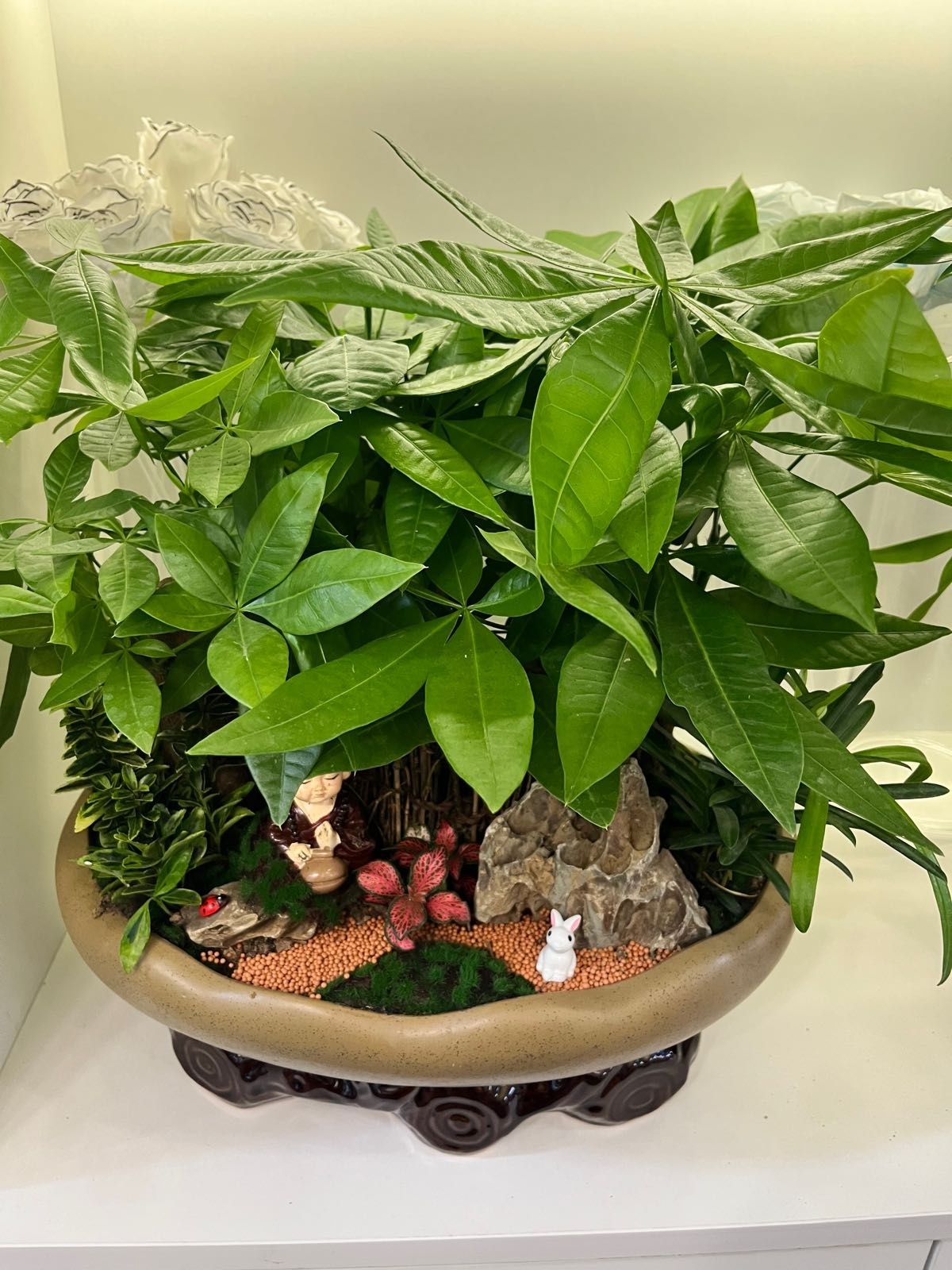 花开小镇(洛阳总店)