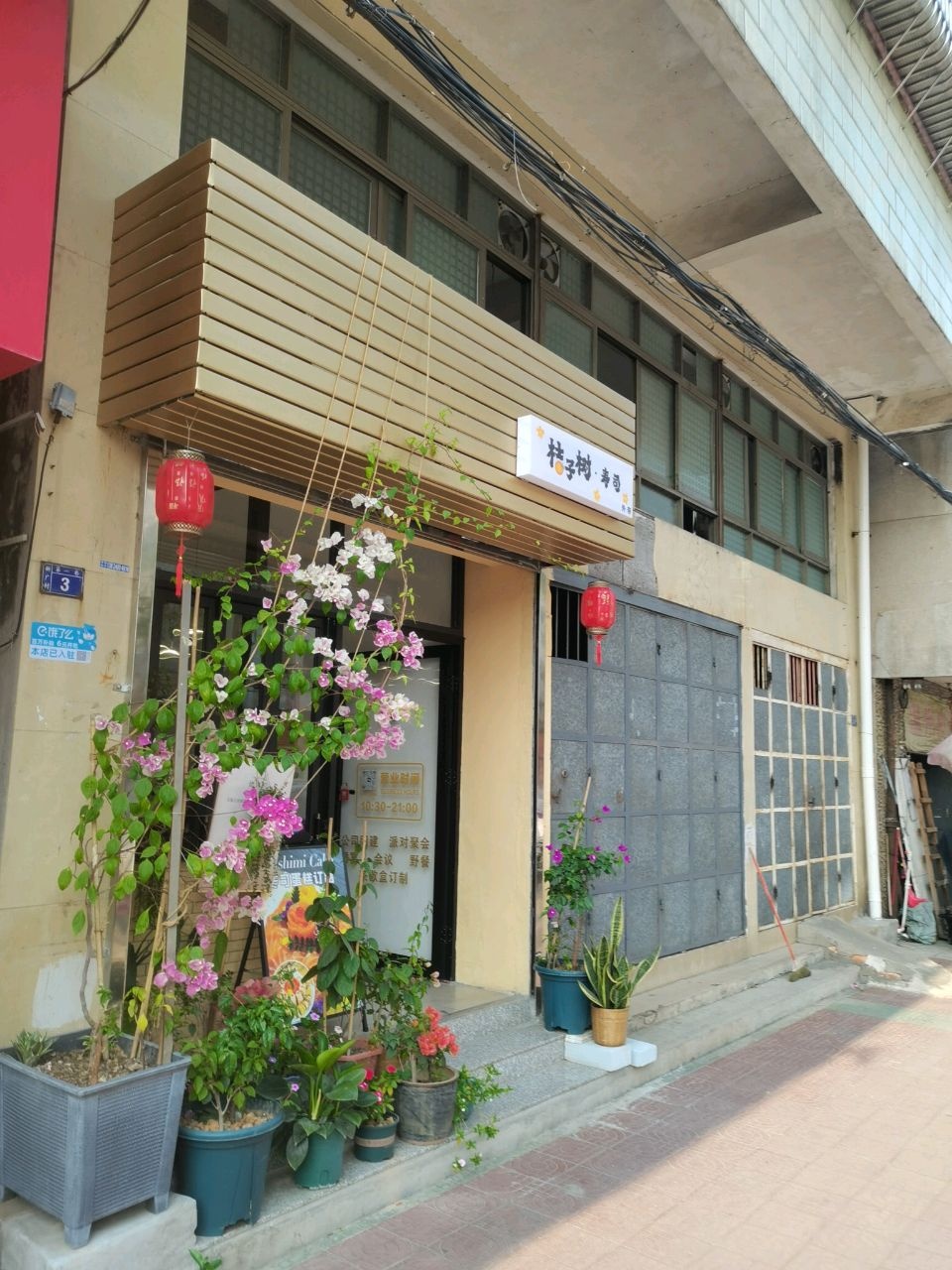 三埠桔子树寿司