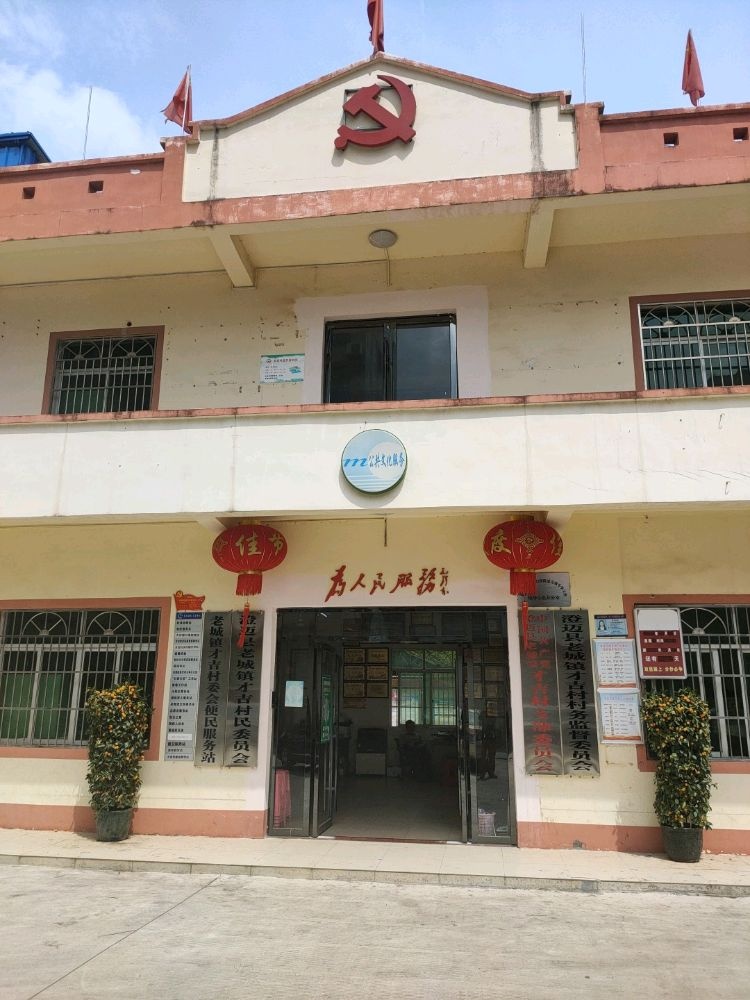 老城镇才吉村委会便民服务站