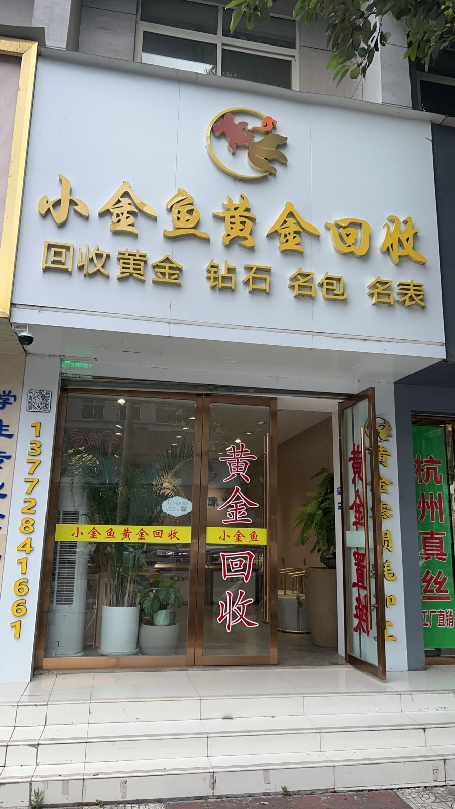 小金鱼黄金珠宝