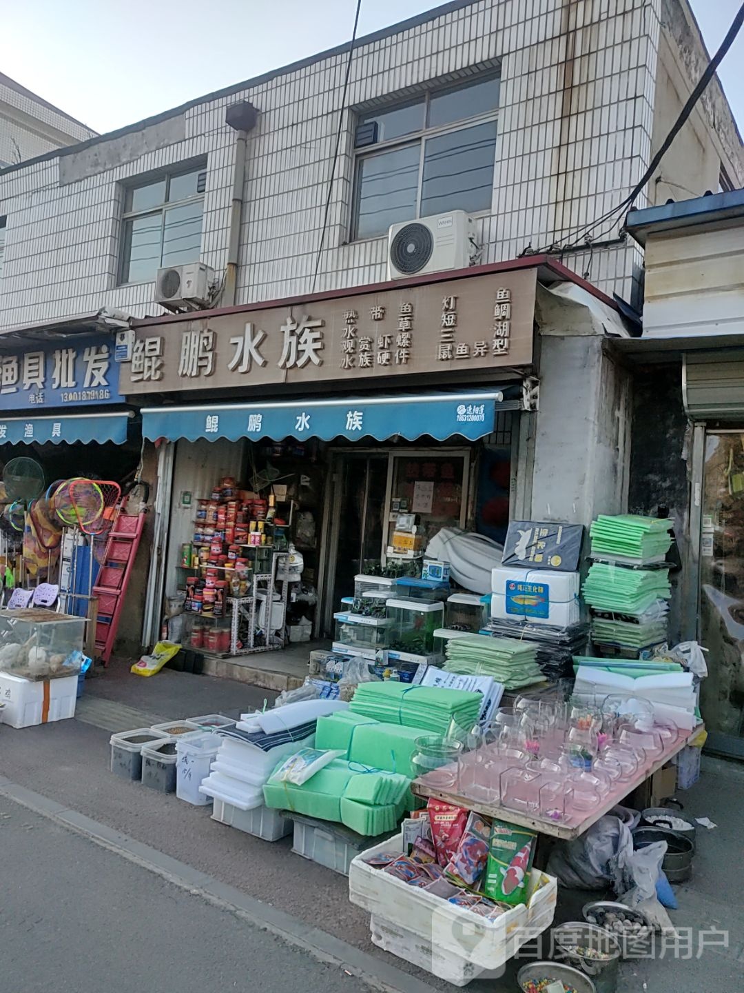 鲲鹏学族