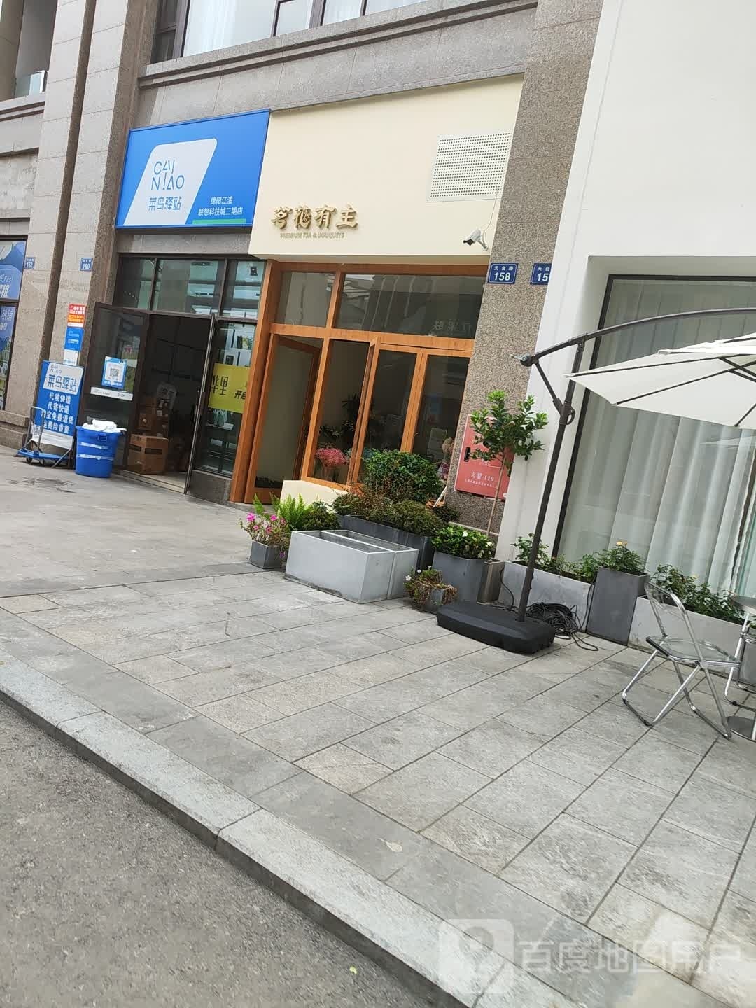 茗花有主
