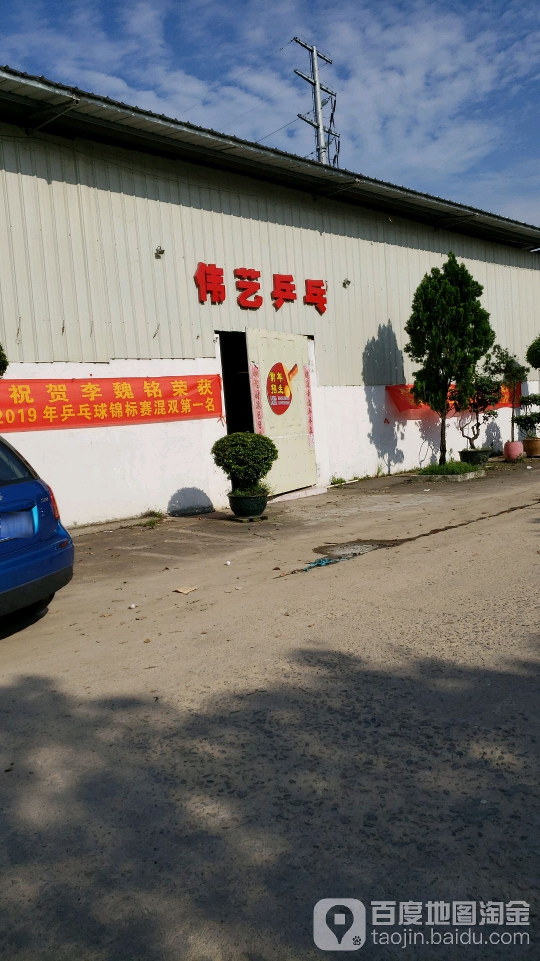 伟艺乒乓