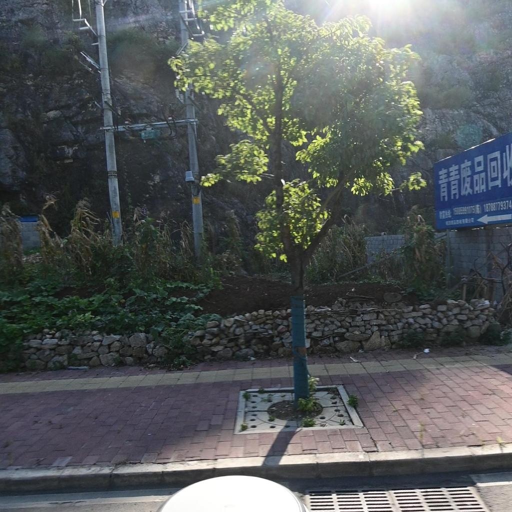 青青废品回收站