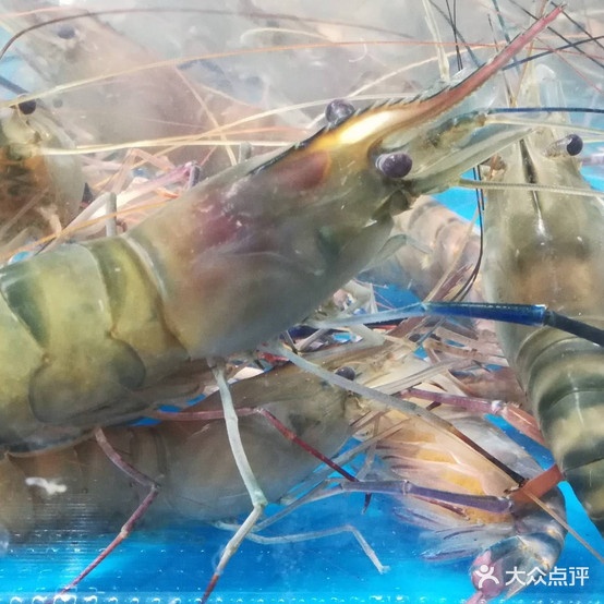熙还会鲜海鲜超市(汇金店)