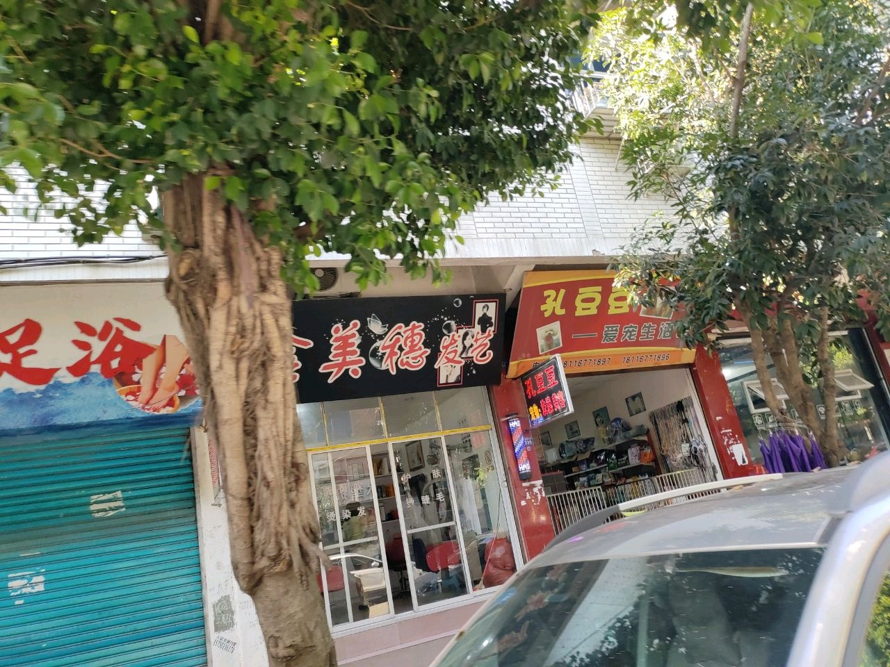 孔豆豆爱宠生活馆