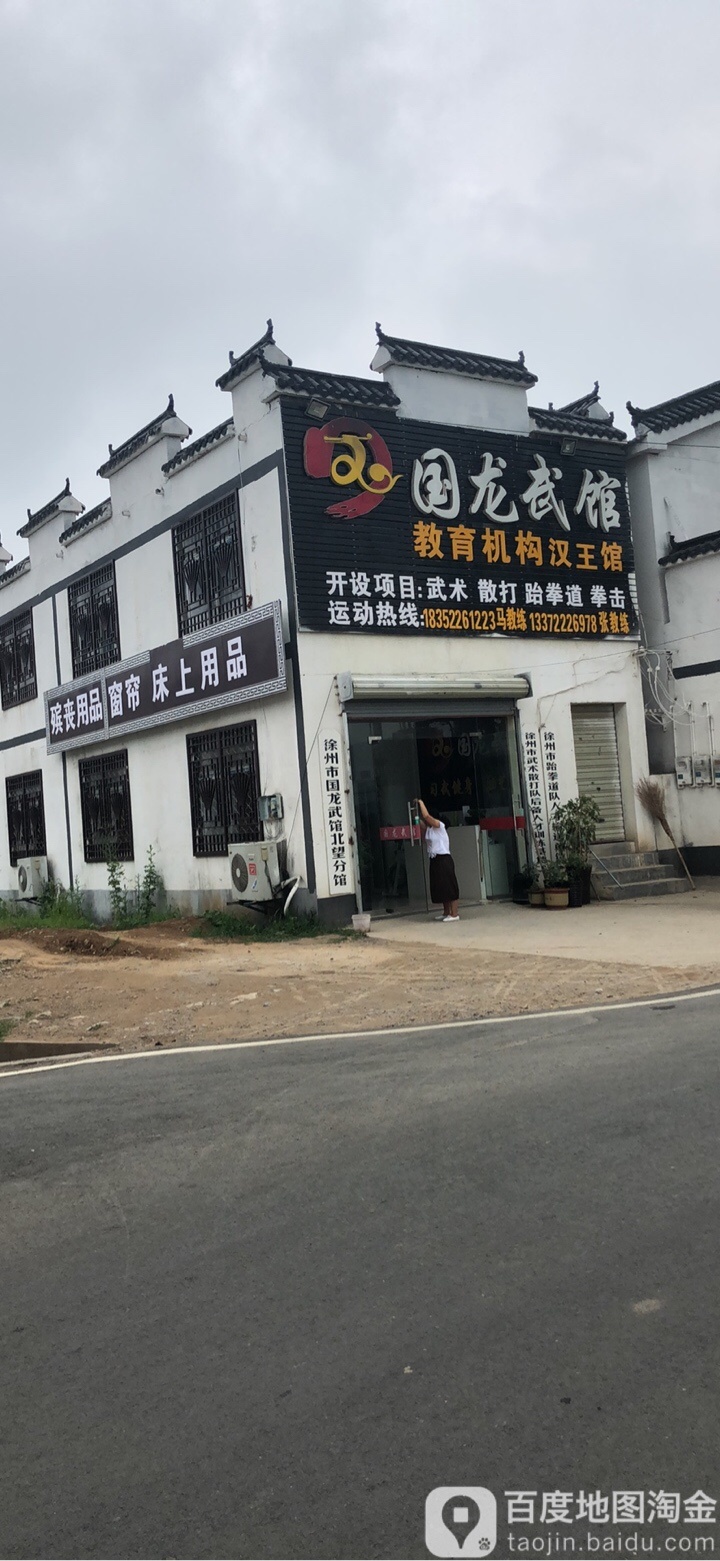 国龙武术(北望分馆)