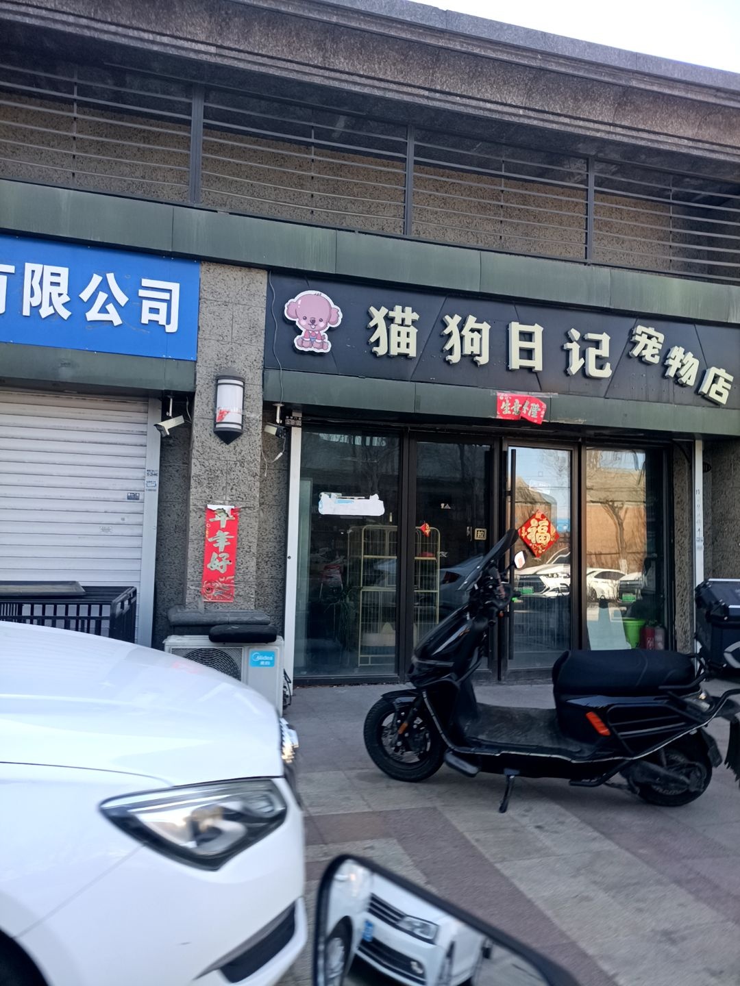 猫狗日记宠物店