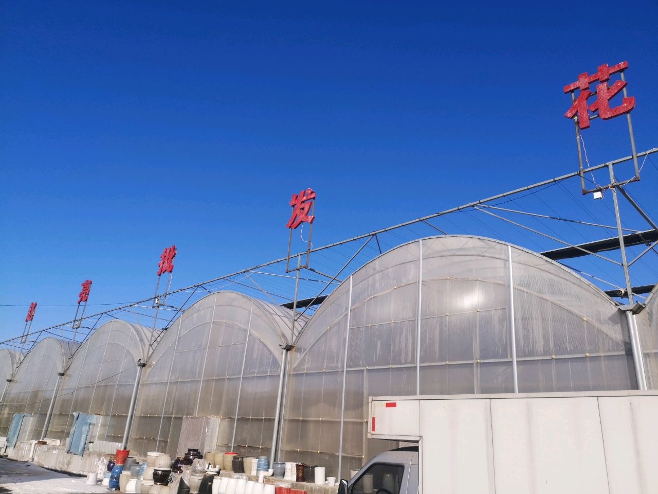 赵亮批发花卉