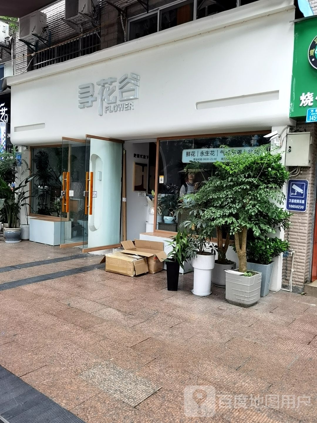 寻花果